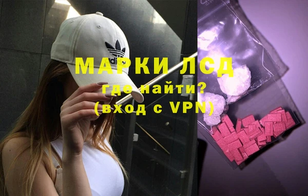 гашик Кулебаки