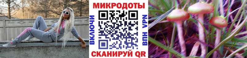 Псилоцибиновые грибы MAGIC MUSHROOMS  продажа наркотиков  Малгобек 