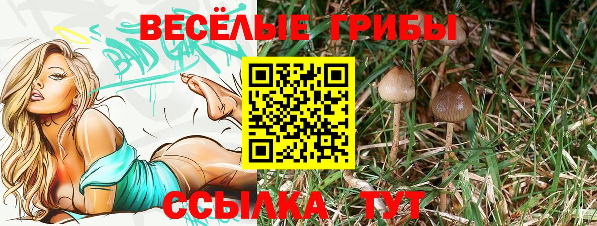 A PVP Малгобек