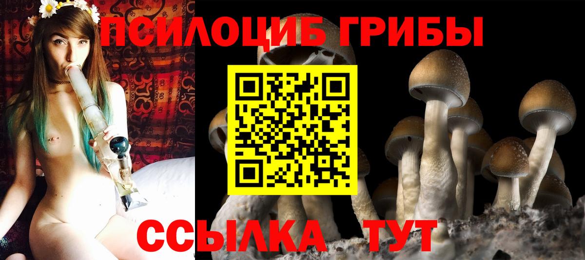 Малгобек  Галлюциногенные грибы Magic Shrooms  Вход с VPN 